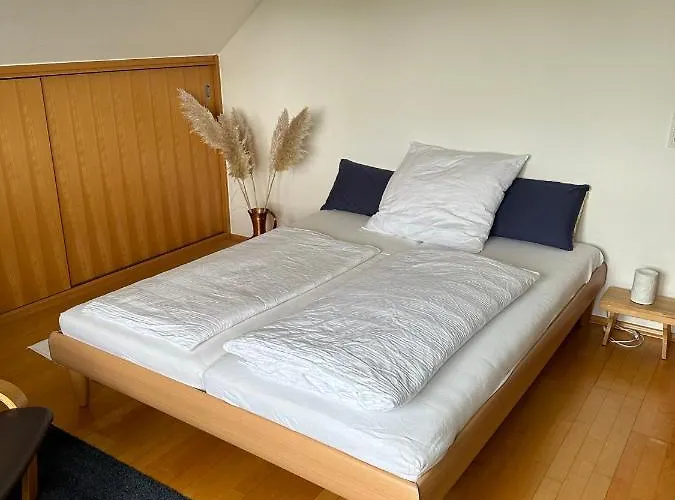 Bee Apartment 1 Zimmer Ruhige Lage Dornholzhausen photo