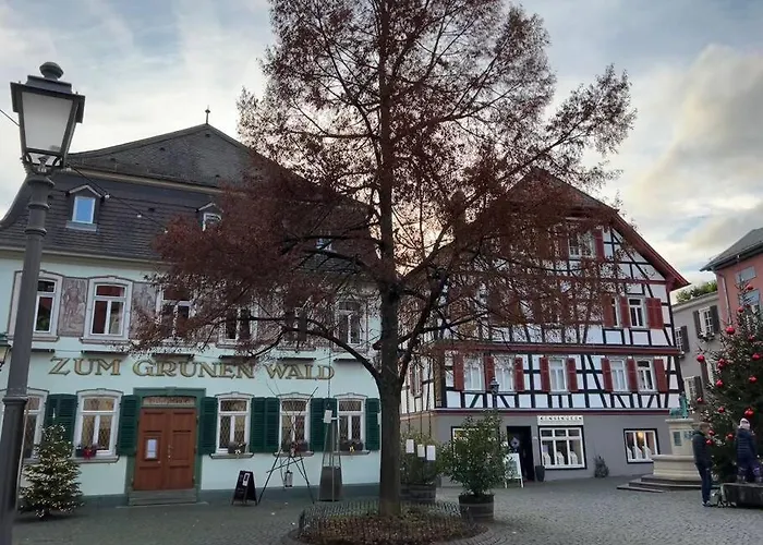 Skyline Appartement mit Pool&Netflix Kronberg im Taunus Foto