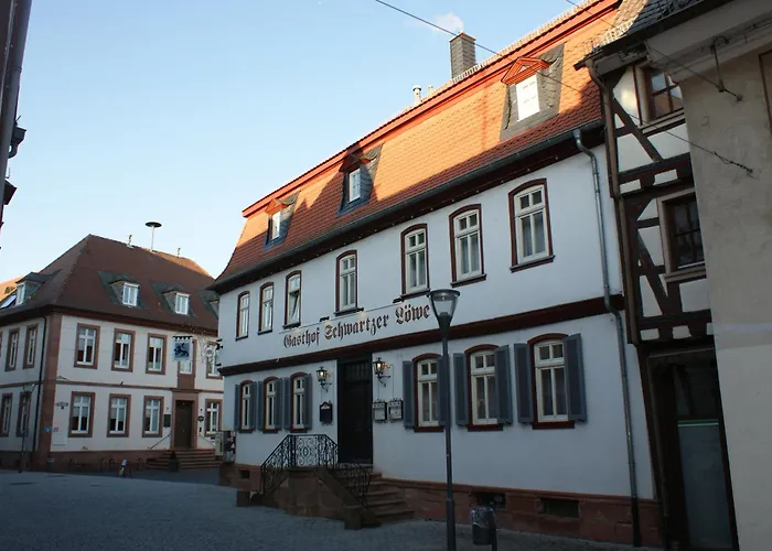 Hotel Schwartzer Loewe Babenhausen  photo