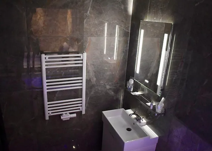 Hotel Sej Sandzak Bischofsheim fotoğrafı