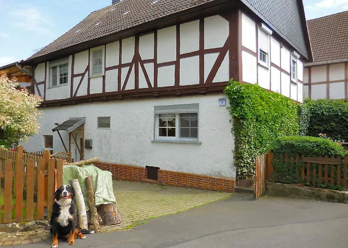 Wohnung In Leuderode Beim Wildpark Rodemann photo