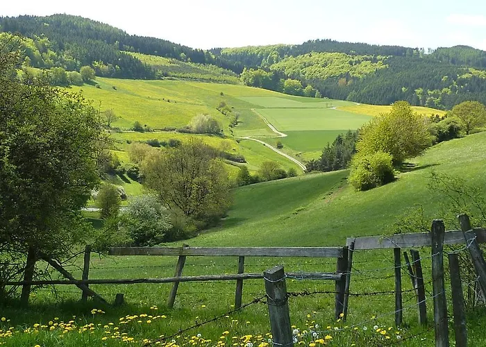 Vakantiehuis Am Oberen Berge Willingen Villa Schweinsbuhl photo