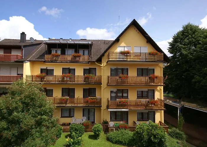 Hotel Weidenau Bad Orb photo