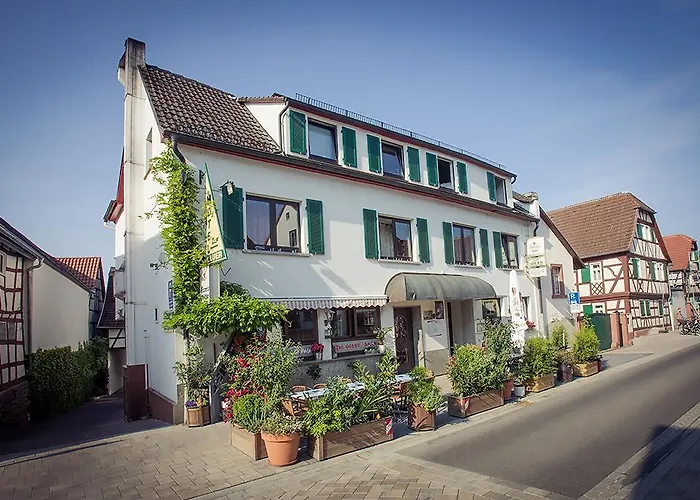 Hotel Lauer Schoneck photo