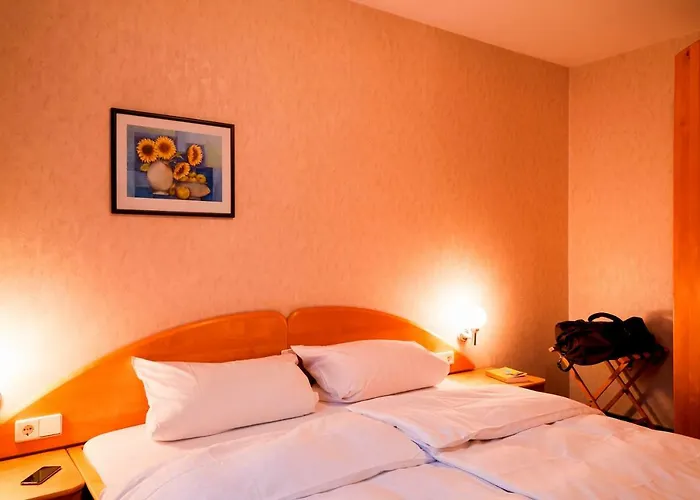 Hotel Arauka Bad Soden-Salmuenster photo