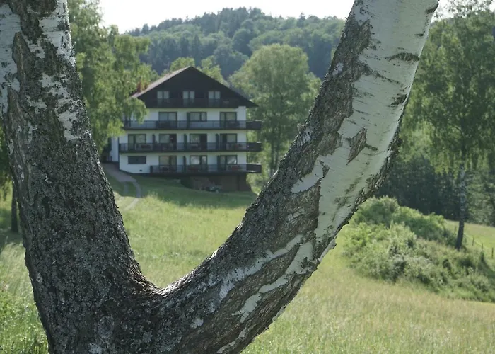 Birkenhof Hotel Wald-Michelbach photo